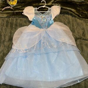 Cinderella costume